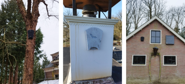in boom, aan schoorsteen of muur